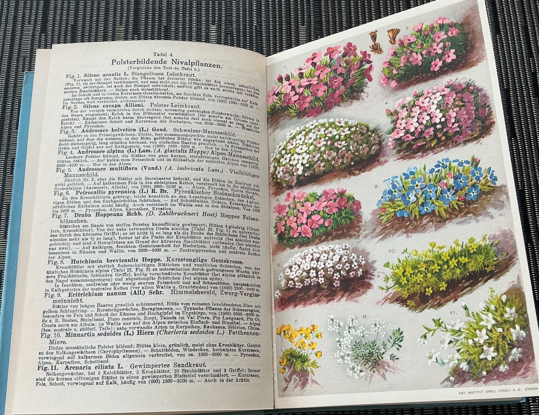 Bücher: Alpen-Flora - Prof. E. Schröter, 207 kol. Abbildungen, 1940 – Gebraucht aus Crans-Montana von plainemorte 3