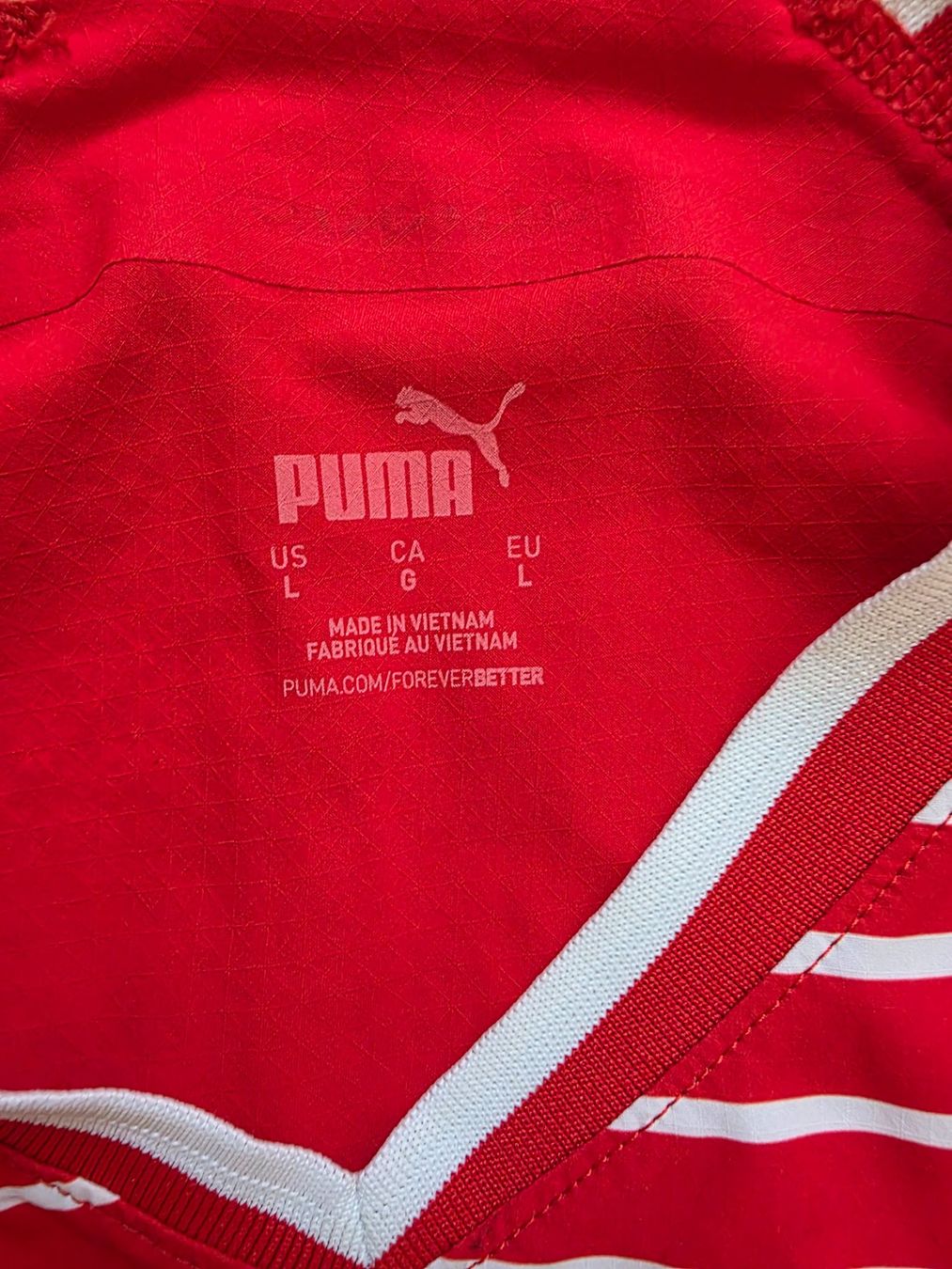 Puma Canottiere & Pantaloni: SCHWEIZ NATI 2022 TRIKOT AUTHENTIC L – Usato da Lüchingen venduto da Jersey_Time 2