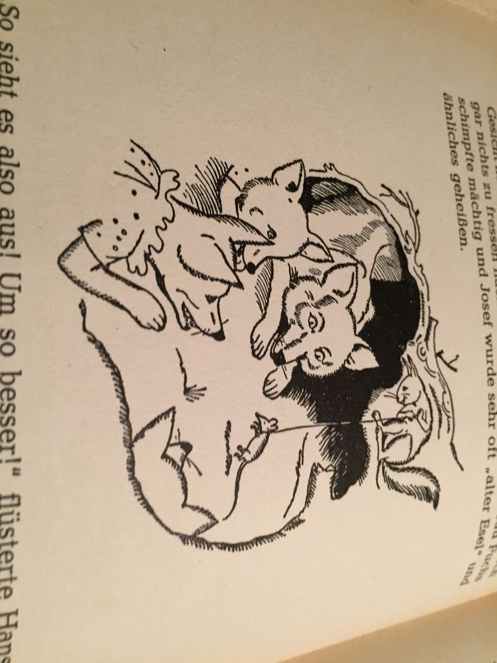 Libri: Hans Eichhorn der Lausbub von Sepp Bauer – Usato da Gerlikon venduto da jabadabadu 6