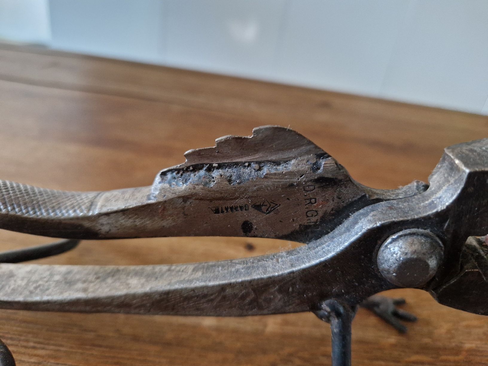 Elettrodomestici da cucina: Nussknacker Libelle aus Metall – Usato da Hindelbank venduto da MRoeth1 1