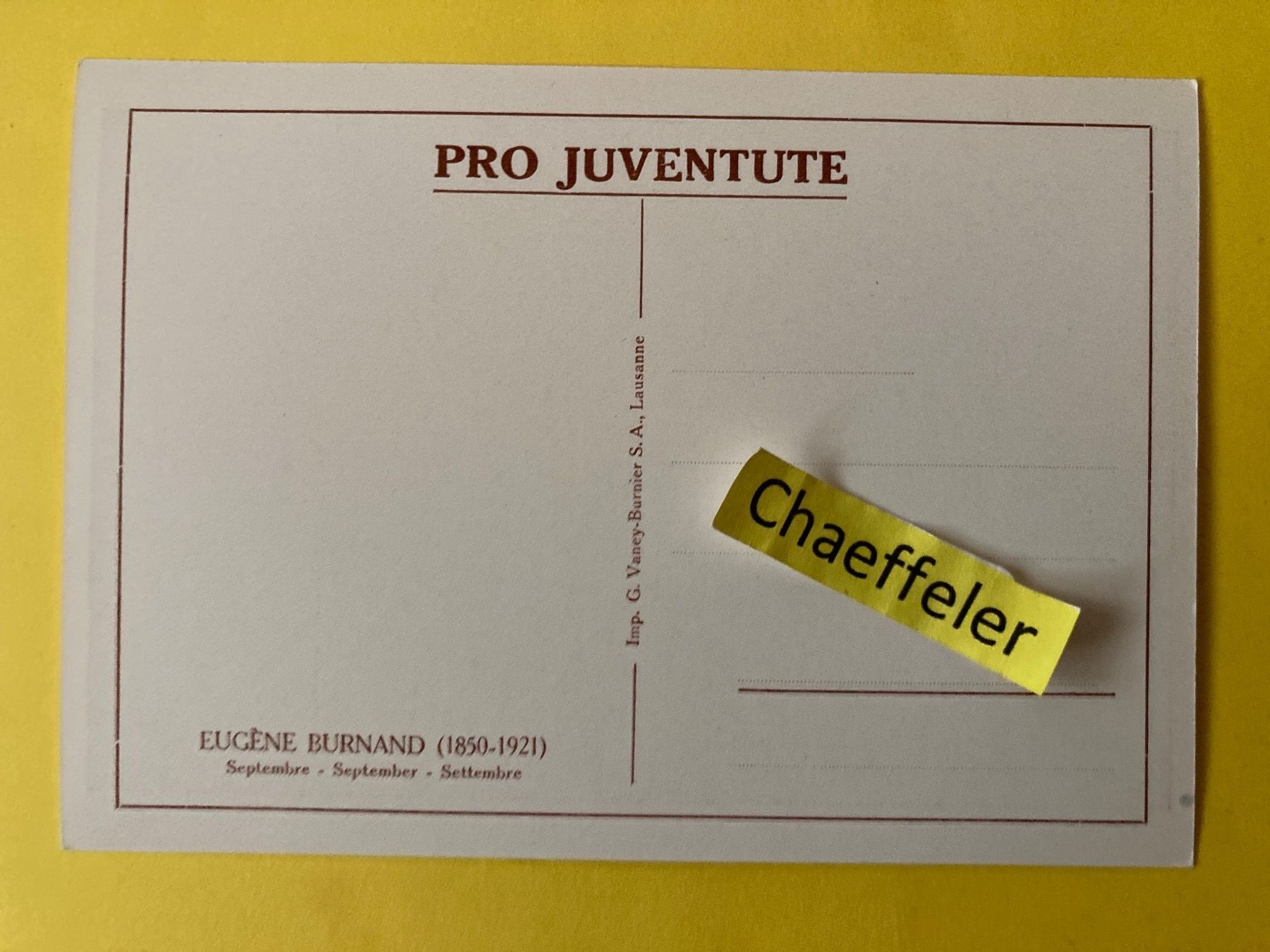 Cartoline postali: Pro Juventute Eufène Burnand (1850-1921) – Usato da Zürich venduto da Chaeffeler 1