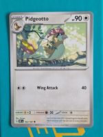 Pidgeotto Tauboga - Pokemon Obsidian Flames