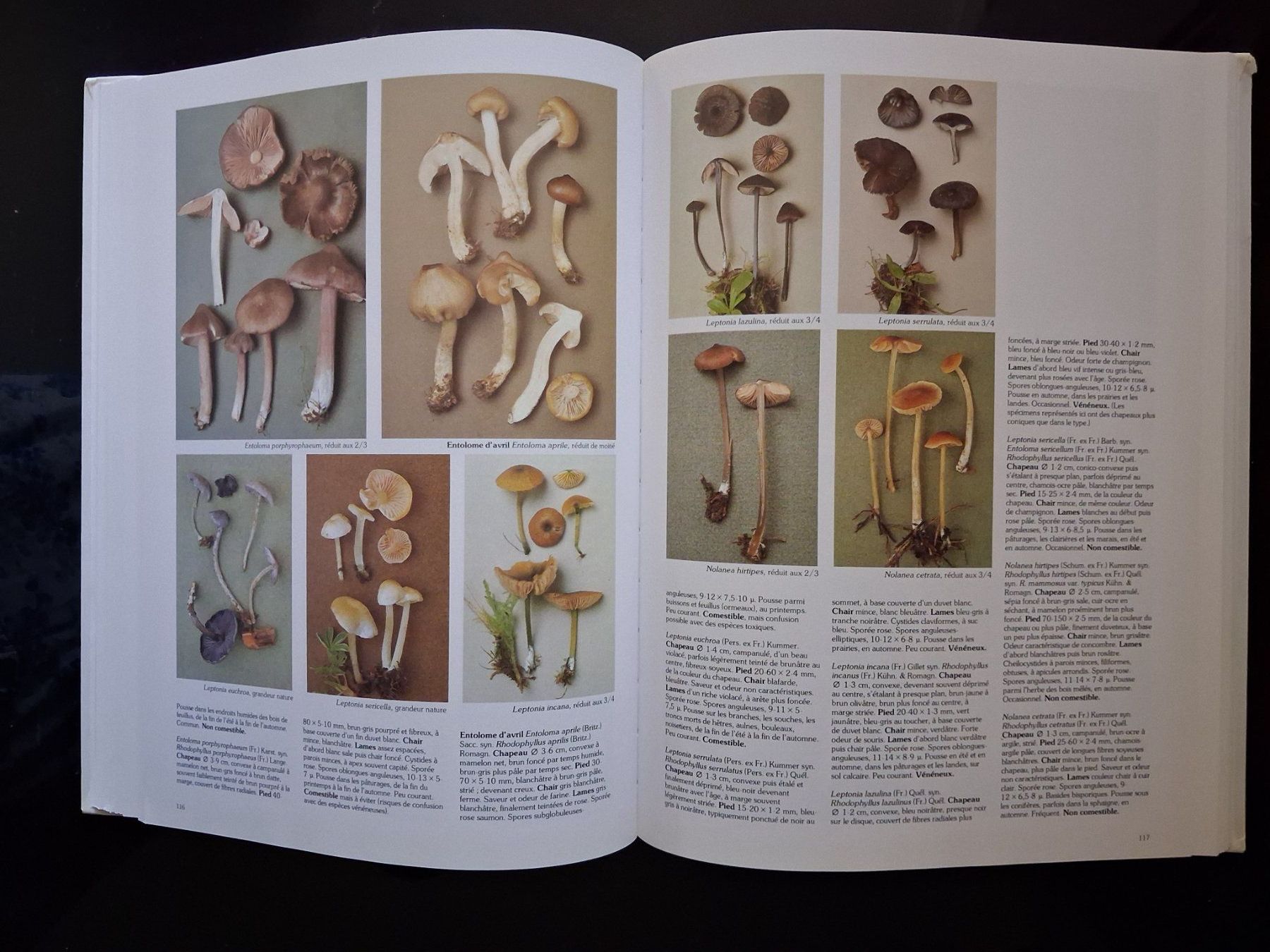 Libri: Livre "Les champignons" Roger Phillips - 1981 – Usato da Cartigny venduto da pgc_fk9s 5