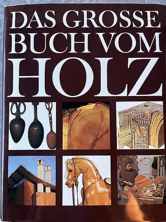 Libri: Holzbau Bücher – Usato da Englisberg venduto da Tobetz 1