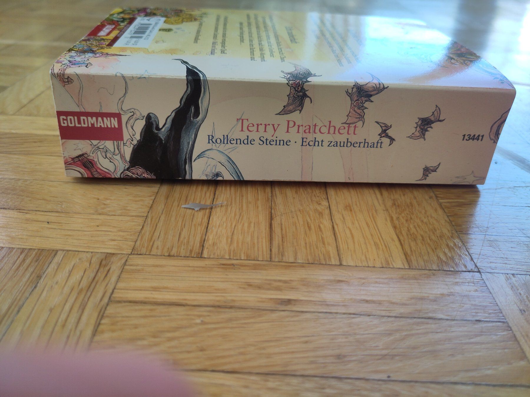 Libri: Rollende Steine & Echt zauberhaft, Terry Pratchett – Usato da Zürich venduto da lb_z58n 2