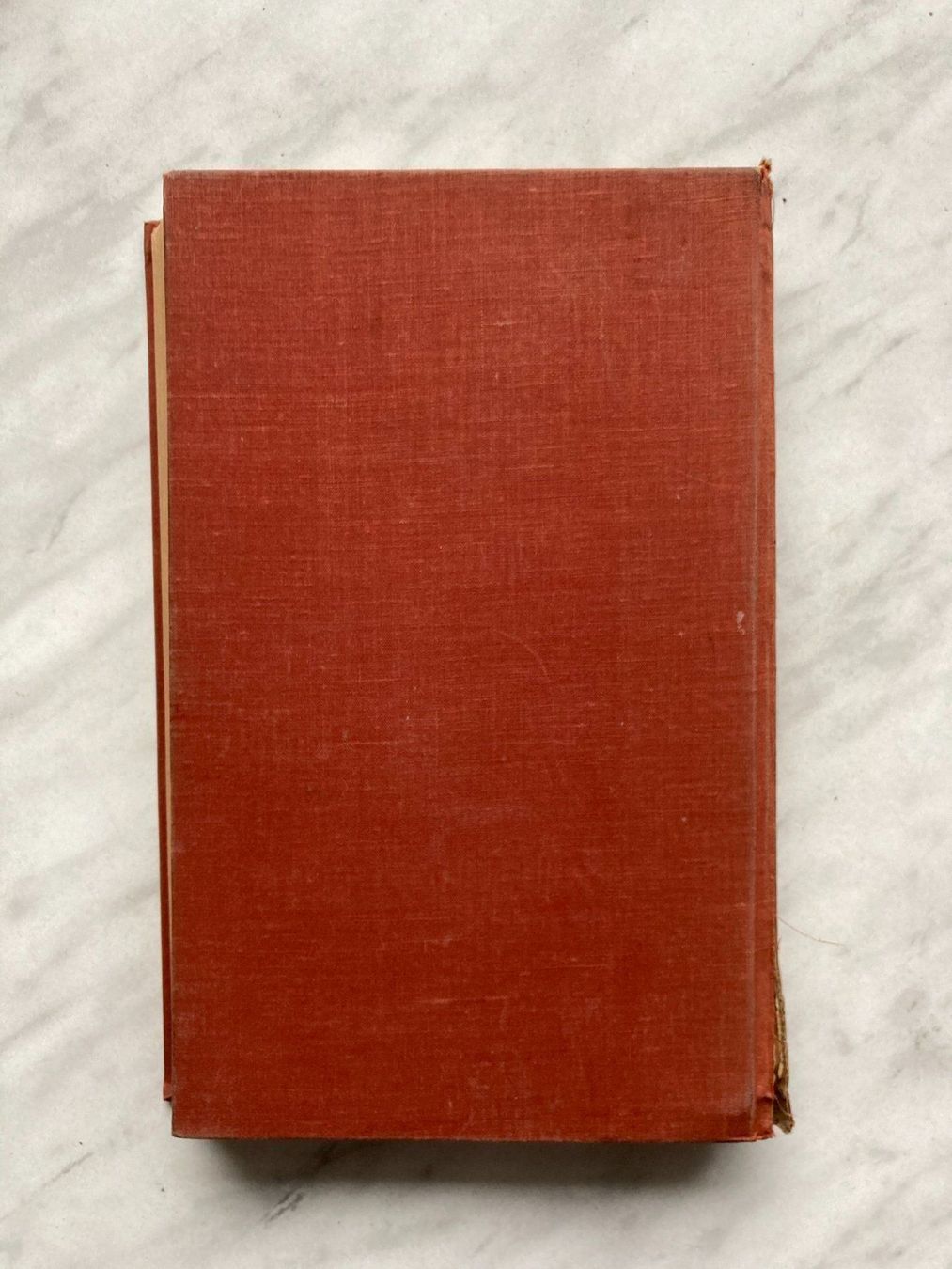 Libri: Peter Camenzind von Hermann Hesse – Usato da Mirchel venduto da buecher_wurm 9