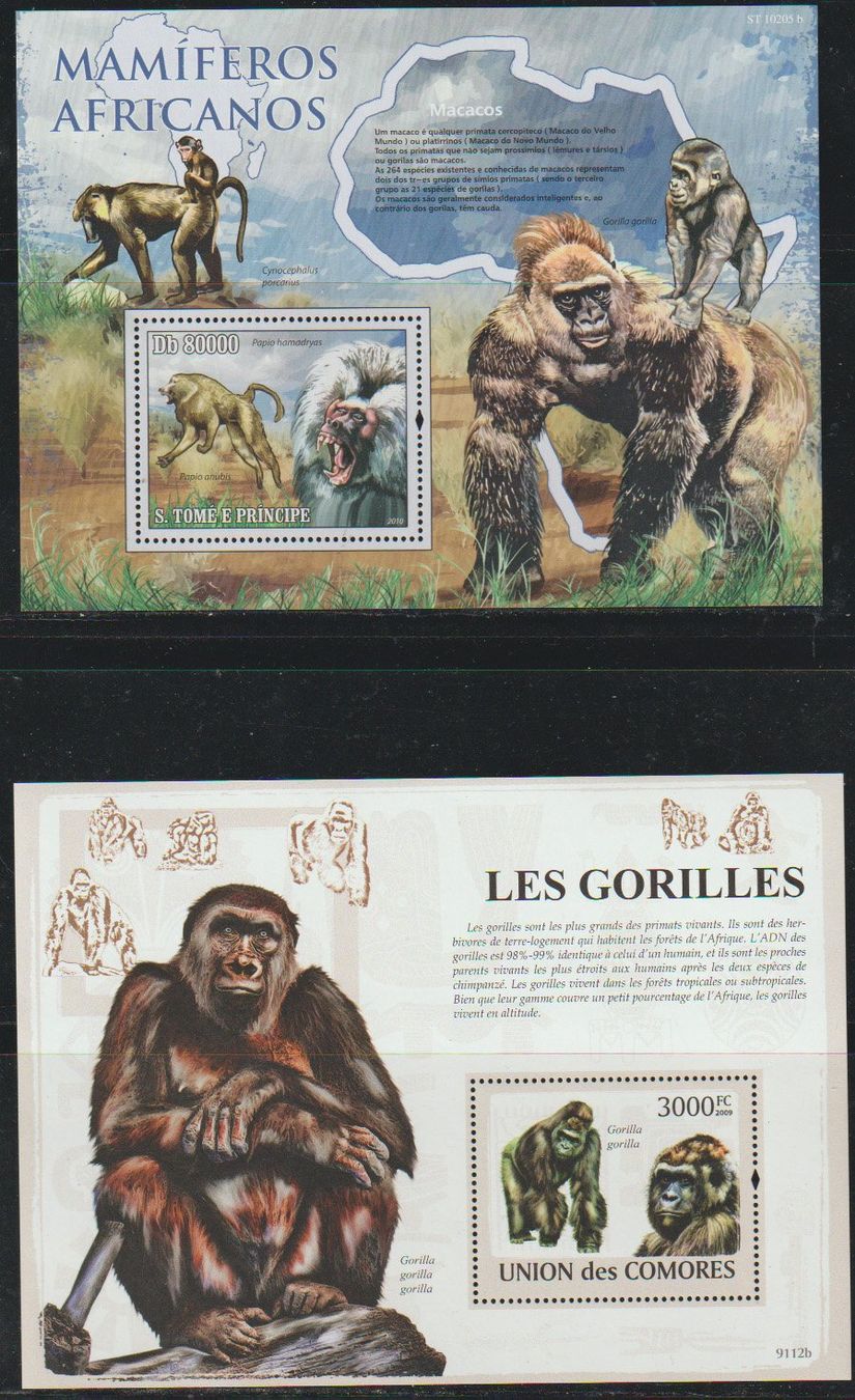 Tutti i francobolli: Timbres Gorilles Afrique 4 séries – Nuovo e nell'imballaggio originale da Crans-Montana venduto da kira56
