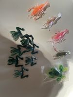 Leurres GRENOUILLE ÉCREVISSE pêche carnassier brochet sandre