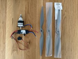 Dualsky Brushless Set