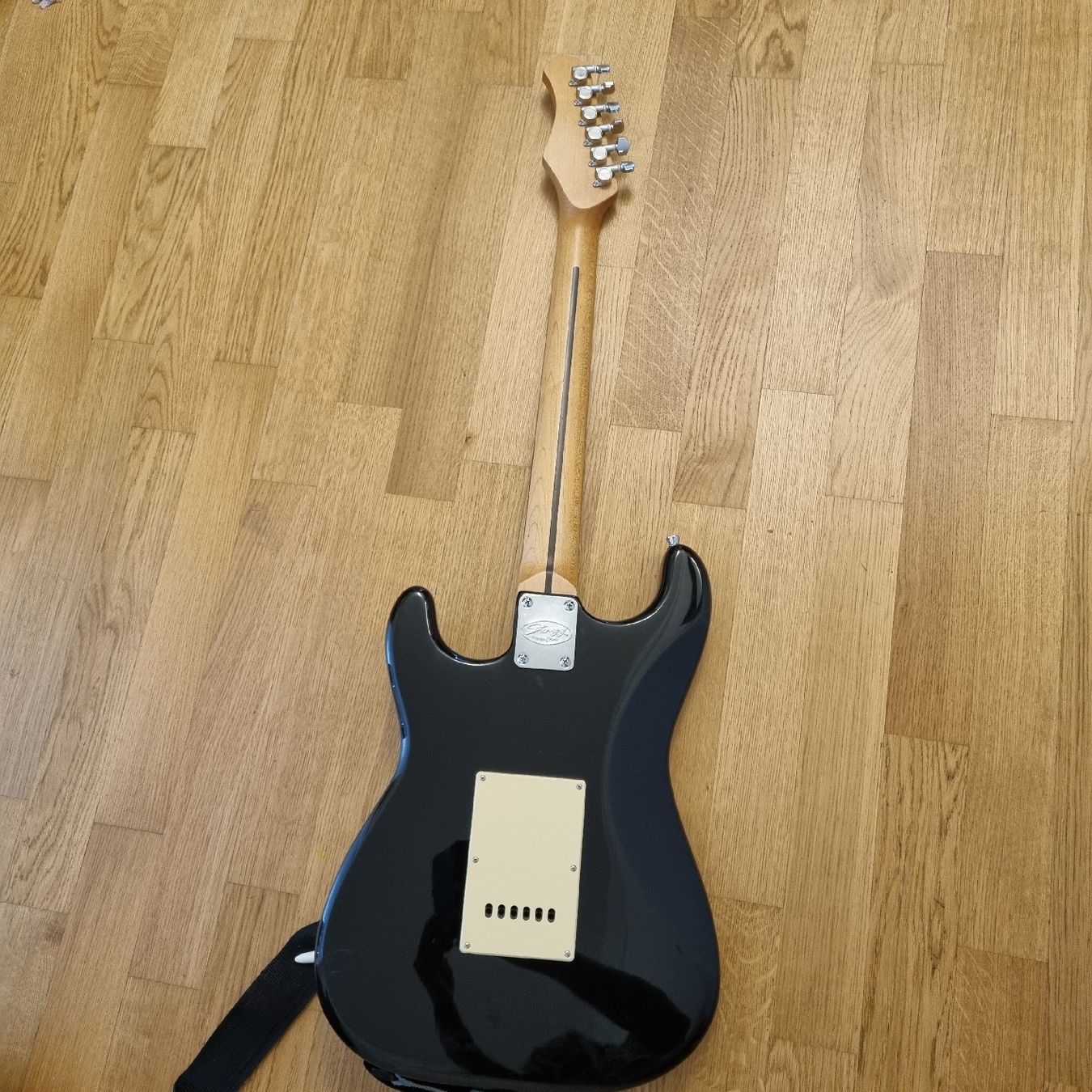 Strumenti musicali: E-GITARRE & Gitarrentasche – Usato da Biel/Bienne venduto da Ressourceraum 4