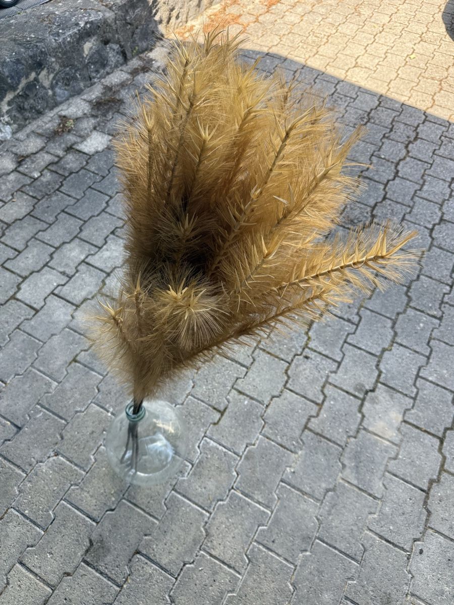 Tutte le decorazioni: Bouteille et Plumeaux décoratifs – Usato da Nyon venduto da tha_5zkc 1