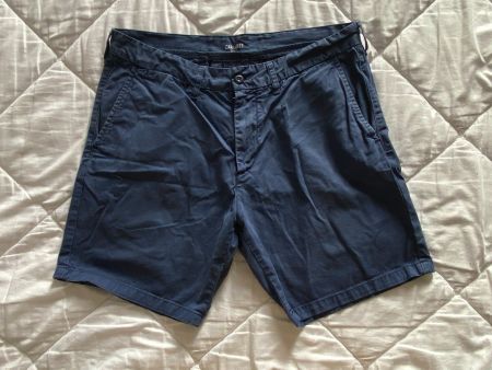 Carhartt Shorts (31)