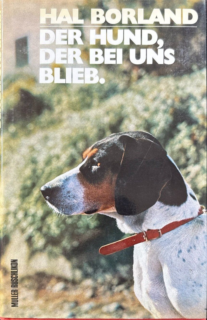 Libri: Der Hund, der bei uns blieb – Nuovo (secondo la descrizione) da Sarnen venduto da Livres