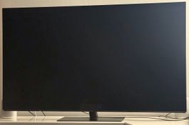 Panasonic OLED TX-65FZC804, 65 Zoll