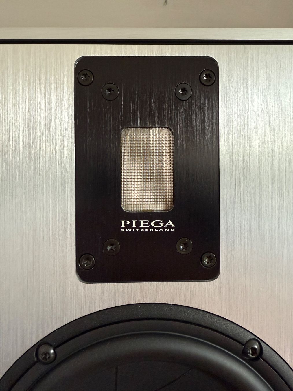 Piega Lautsprecher: Piega TC 50 – Gebraucht aus Dachsen von Vulcain3 5