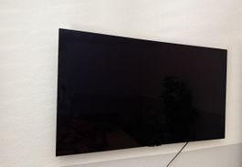 LG Oled 48 Zoll inclusive Wandhalterung(OLED48C27LA)