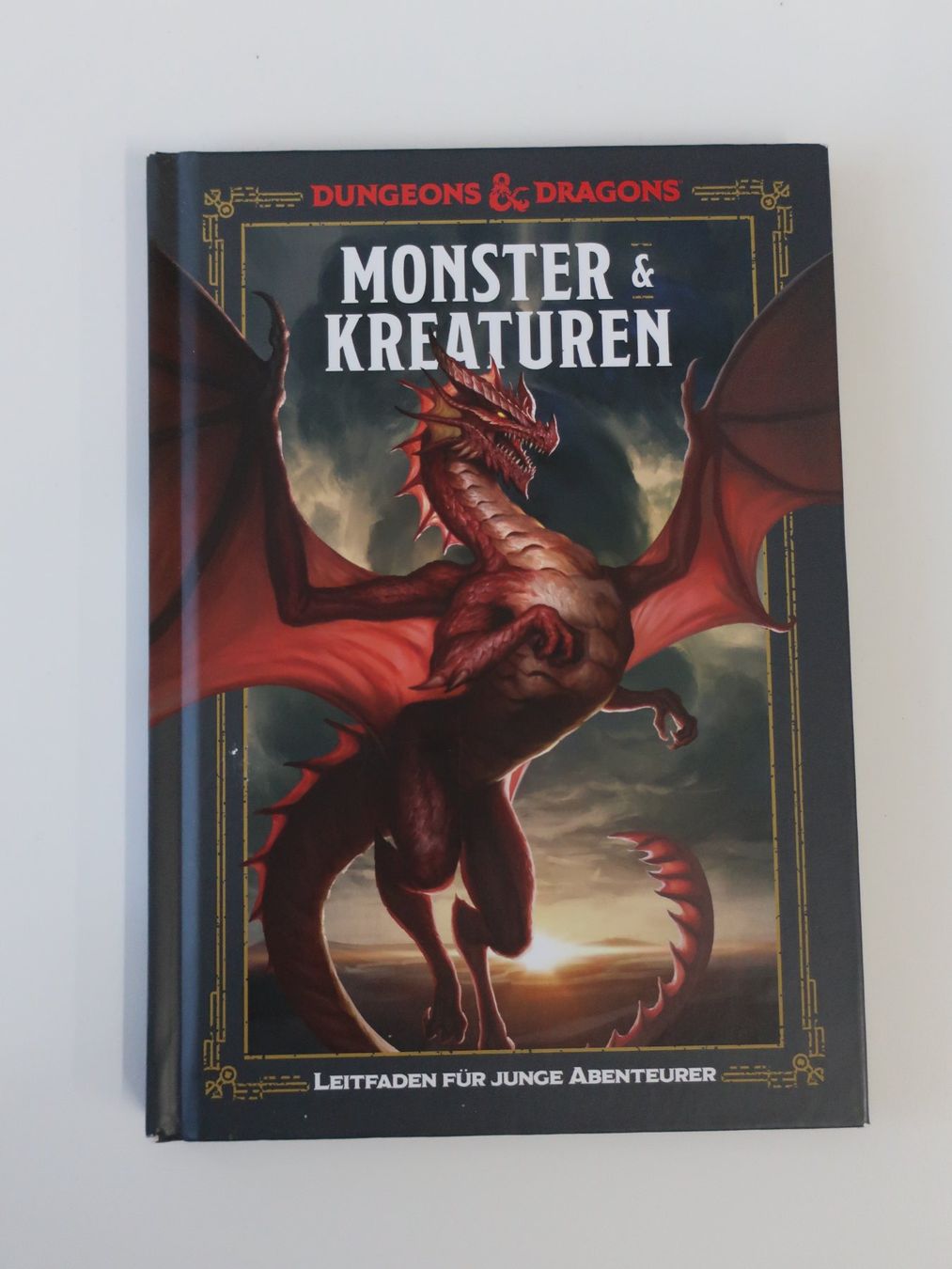 Libri: 4 Stück Dungeons & Dragons Handbücher – Usato da Volketswil venduto da brockipfannenstil 1