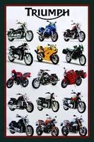 Blechschild-TRIUMPH MOTORRÄDER PALETTE
