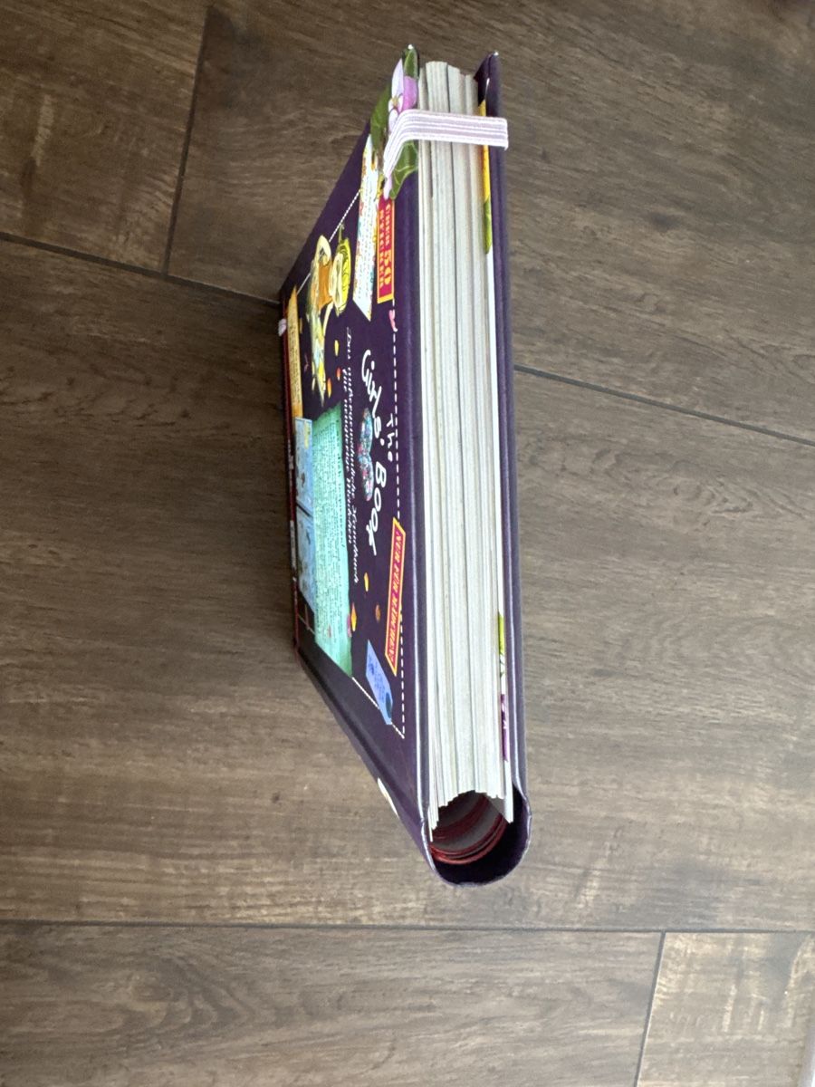 Libri: Girls Book – Nuovo (secondo la descrizione) da Eich venduto da PMagnum 5