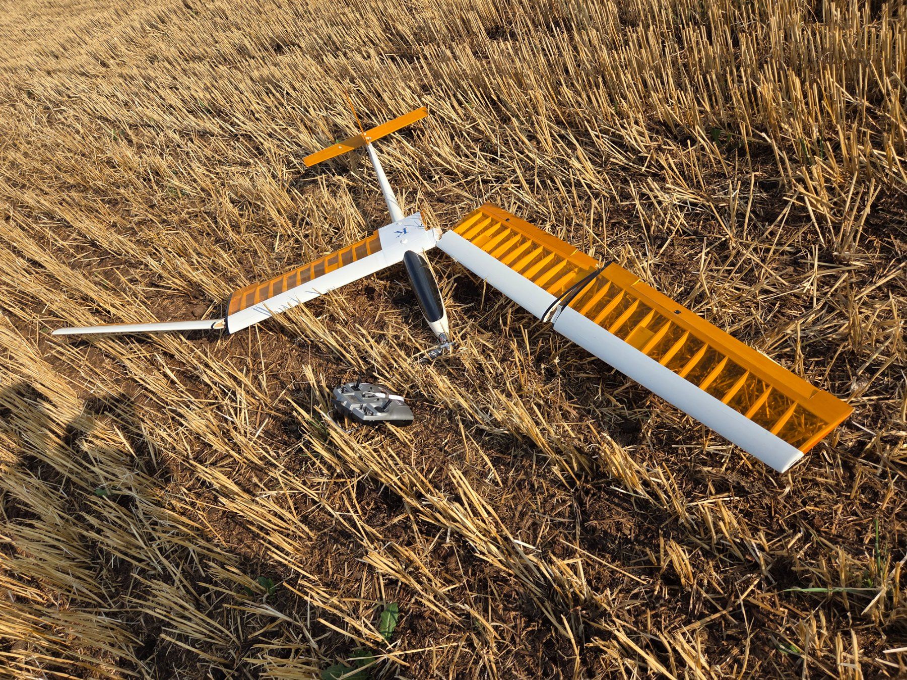 Multiplex Modellismo RC: Elektrosegler Multiplex Alpha  -  Absturzopfer – Difettoso da Fribourg venduto da vcos1700 1