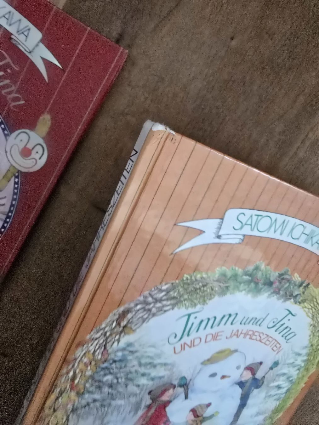 Libri: 2 Kinderbücher: Jimm und Tina set – Usato da Wittenbach venduto da Tigerlili 3