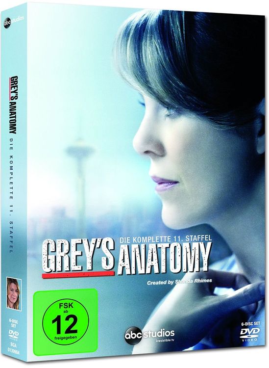 Grey's Anatomy Staffel 11 Box Kaufen auf Ricardo
