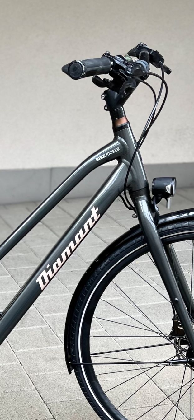 Diamant Biciclette: Damenvelo Diamant – Usato da Binningen venduto da sommerbrise 1