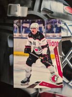 Cedric Fiedler HC Lausanne 2025/26 Sportzoo