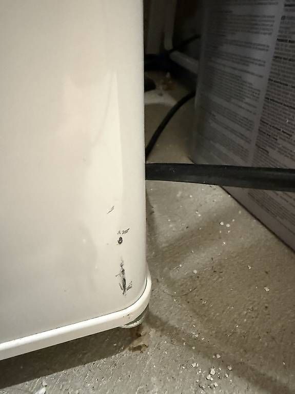 Congelatori: Gefrierschrank Kibernetik 32L – Usato da Niederweningen venduto da ScaredyCat 3