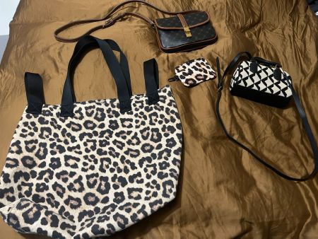 LOT DE SACS H&M, MANGO ETAT NEUF