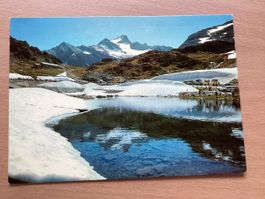 AK Sustenpass Passhöhe 2224 M mit Stucklistock, alte Postaut