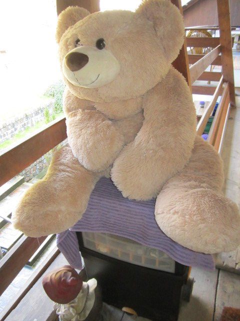 Spielzeuge: Sehr weicher großer Teddy – Gebraucht aus Eglisau von ordne 1