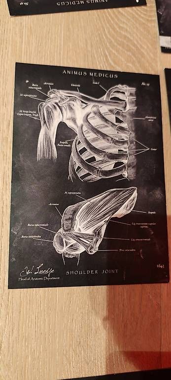 Foto & Immagini: Animus Medicus - Anatomie Bilder – Usato da Altstätten SG venduto da ItobelixI 2