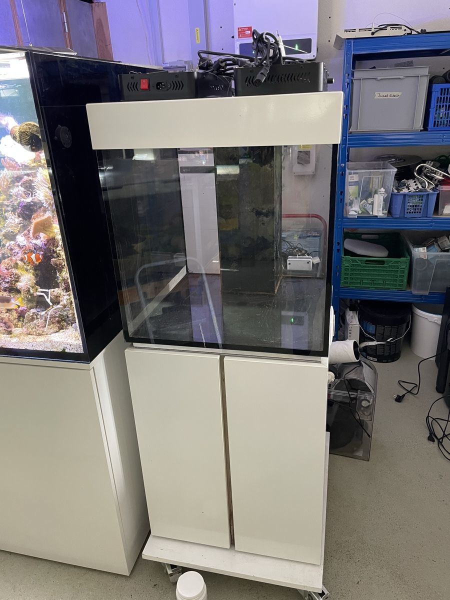 Aquarium: 210l 60x60x60 Aquarium mit Technikbecken – Gebraucht aus Oftringen von Aqualuz