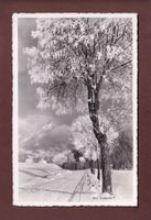 LEYSIN - PIC CHAUSSY - 1942