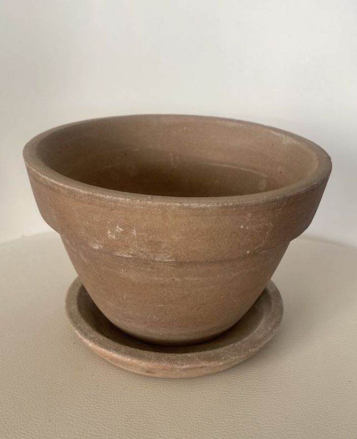Stilvolle Terracotta Topf Mit Untersetzer Ebenbild