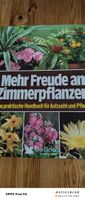 Mehr Freude an Zimmerpflanzen
