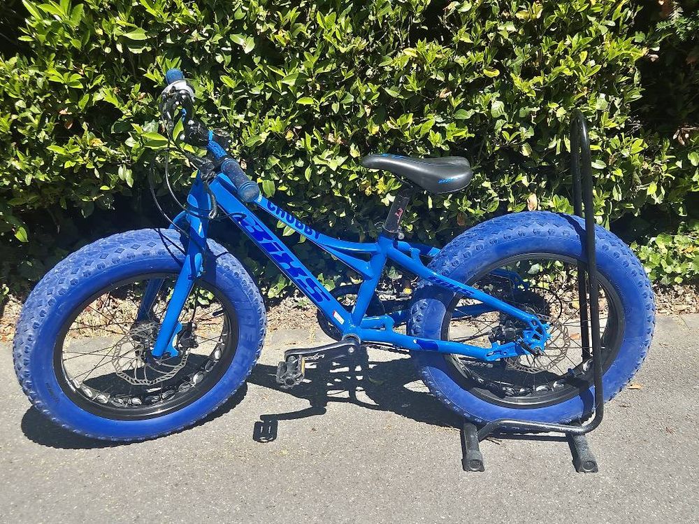 Fat Bike Bixs 20 Zoll (Gebraucht) in Recherswil für CHF 290 – nur ...