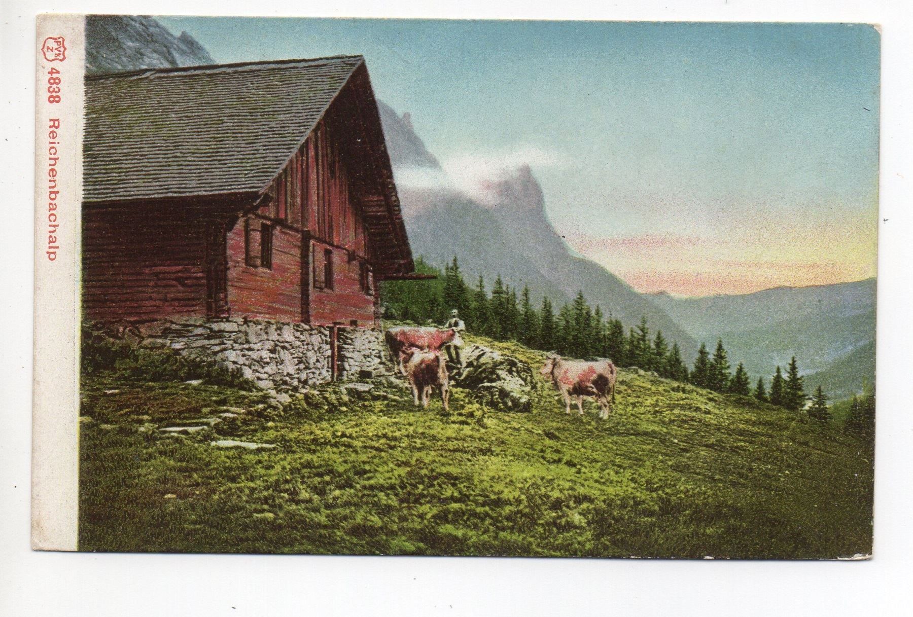 Ansichtskarten: REICHENBACH ALP Bauer mit Kühen – Neu (gemäss Beschreibung) aus Jona von philajona