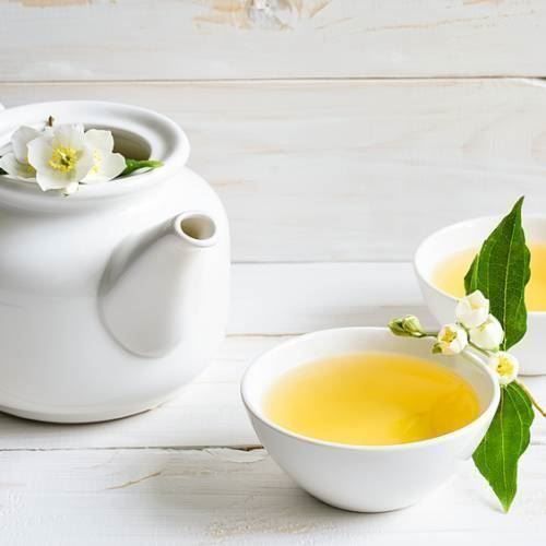 Piante & sementi: Théier / Camellia sinensis   PLANT – Nuovo (secondo la descrizione) da Bremblens venduto da FIBONACCI369 2