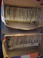 doppelte Paninibilder 