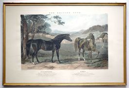 British Stud John Frederick HERRING 19. Jh.  antik Pferde