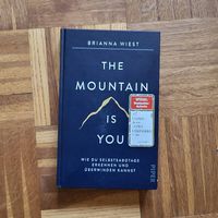 The Mountain is You - Brianna Wiest