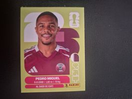 Panini WM 26 QAT 7