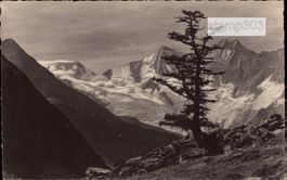 1936 AK Saas-Fee - Almageleralp, Täschhorn und Dom
