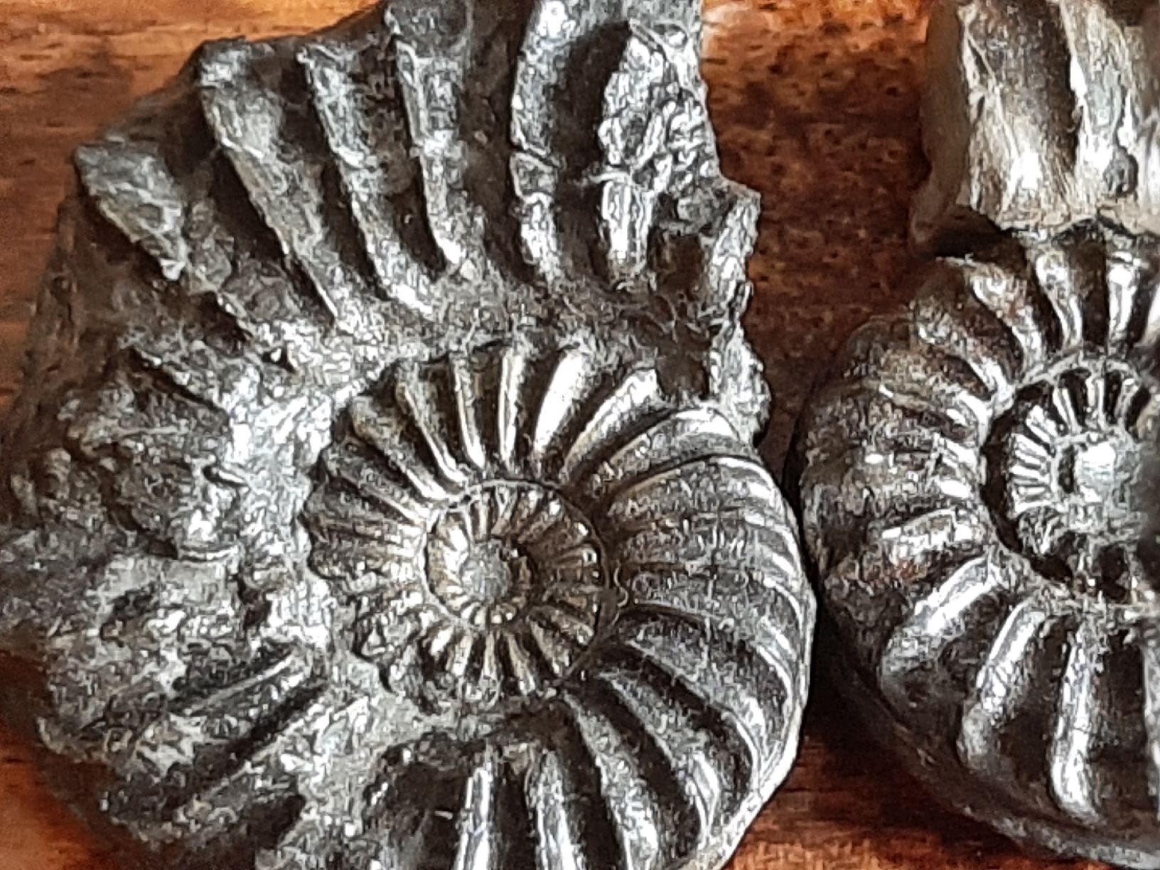 Fossili: Pyrit Ammoniten 3 Stück Frankreich – Usato da Rickenbach BL venduto da Oktober68 5