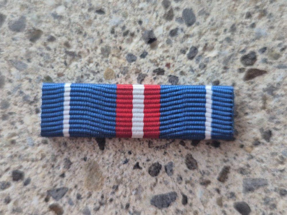 Schweizer Armee Placchette & Badge: *** Ribbon Diensttage *** – Nuovo e nell'imballaggio originale da Riedholz venduto da fr_sIruP