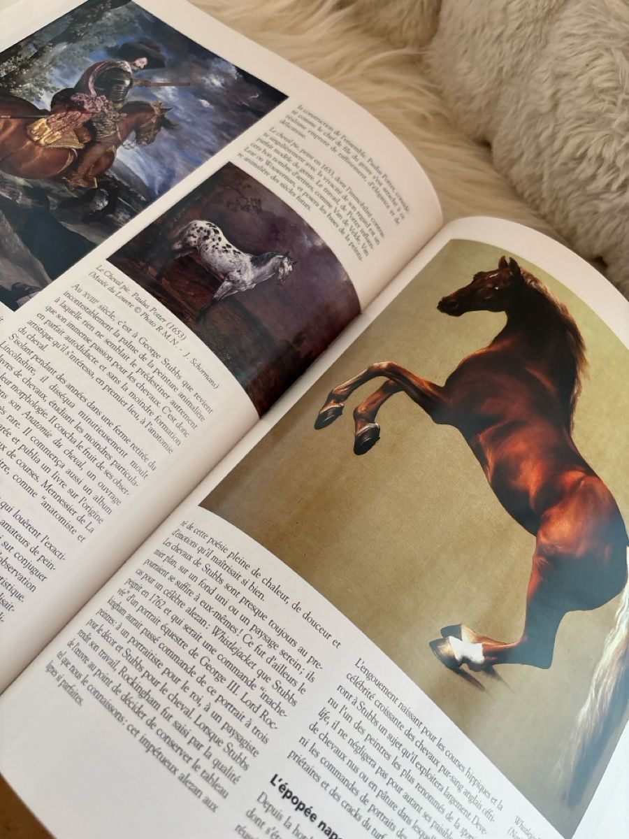 Libri: Encyclopédie du Cheval libre en Français – Usato da Ste-Croix venduto da choupy60 5