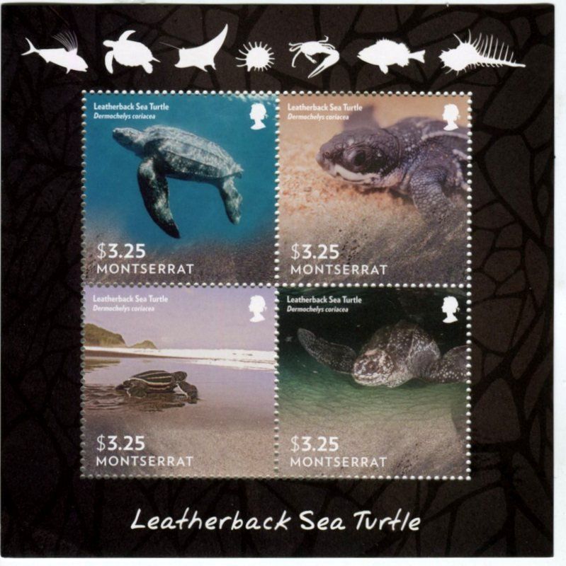 Tous les timbres: Block "Schildkröten". Montserrat – Neuf avec emballage d'origine à Basel par Butsch5