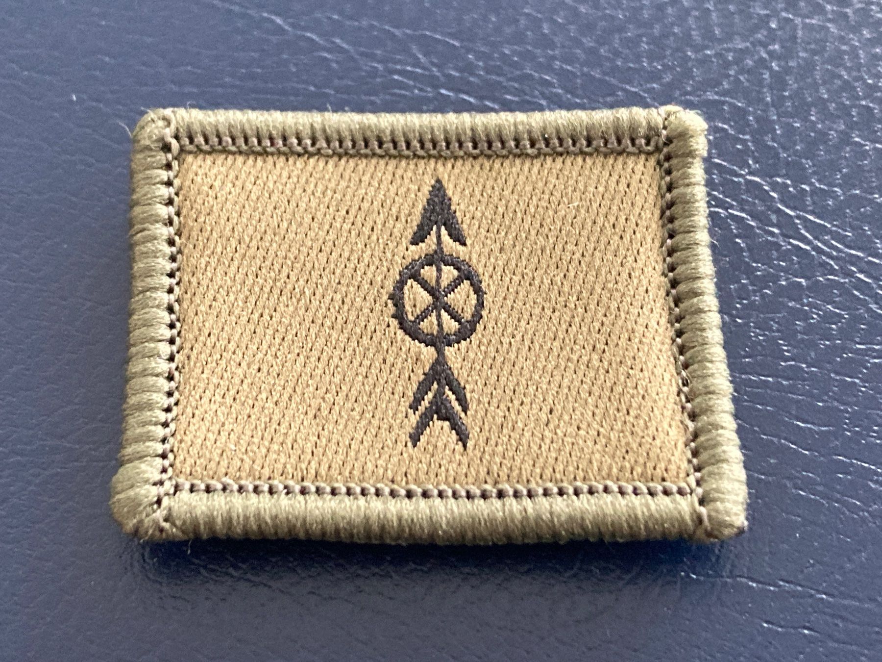 Schweizer Armee Placchette & Badge: Funktionsabzeichen für TAZ: Train - Schweizer Armee – Nuovo (secondo la descrizione) da Brütten venduto da Hst1